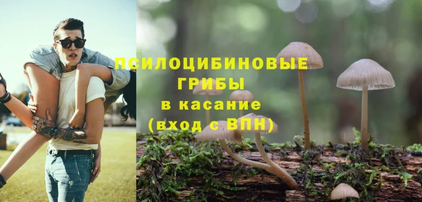 MESCALINE Белокуриха