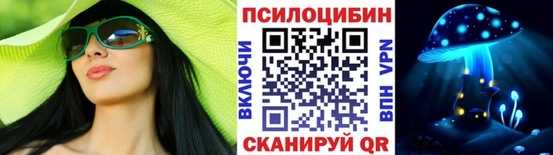 дарк нет наркотические препараты  Дальнегорск  Галлюциногенные грибы мухоморы 